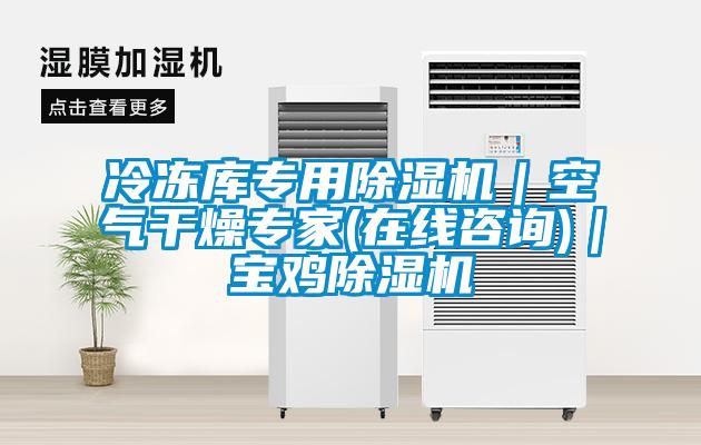 冷凍庫專用除濕機｜空氣干燥專家(在線咨詢)｜寶雞除濕機