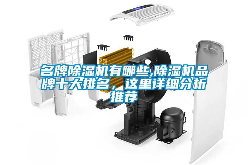 名牌除濕機有哪些,除濕機品牌十大排名，這里詳細分析推薦