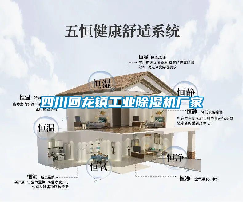 四川回龍鎮(zhèn)工業(yè)除濕機廠家