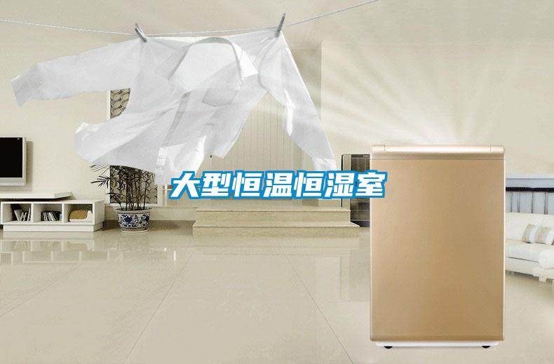 大型恒溫恒濕室