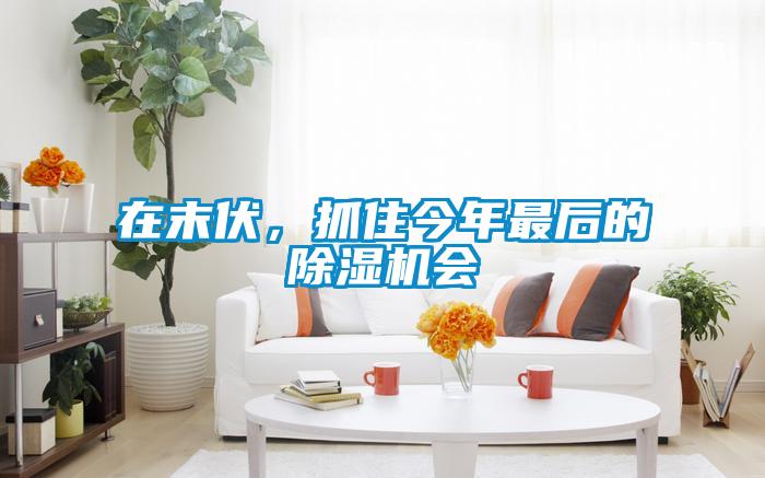 在末伏，抓住今年最后的除濕機會