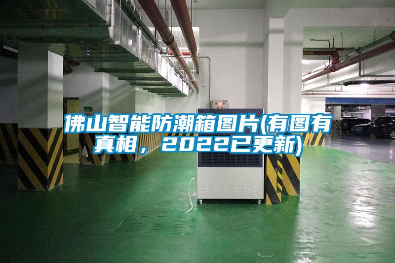 佛山智能防潮箱圖片(有圖有真相，2022已更新)