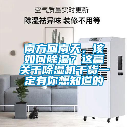 南方回南天，該如何除濕？這篇關于除濕機干貨一定有你想知道的