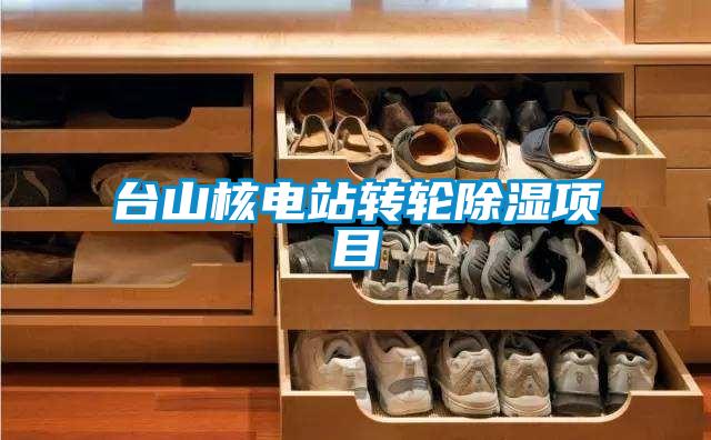 臺山核電站轉輪除濕項目