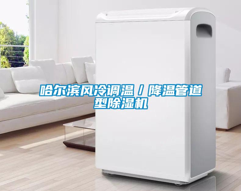 哈爾濱風冷調溫／降溫管道型除濕機
