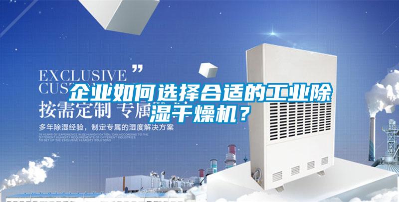 企業如何選擇合適的工業除濕干燥機？