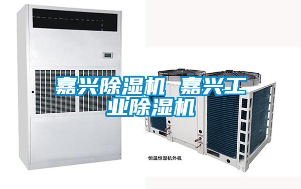 嘉興除濕機 嘉興工業除濕機