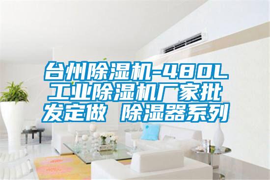 臺州除濕機-480L工業除濕機廠家批發定做 除濕器系列