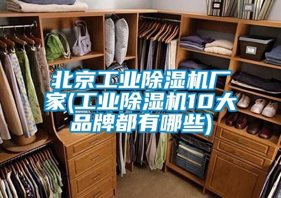 北京工業(yè)除濕機(jī)廠家(工業(yè)除濕機(jī)10大品牌都有哪些)