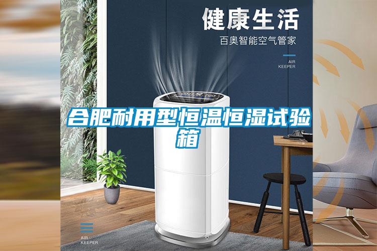 合肥耐用型恒溫恒濕試驗(yàn)箱