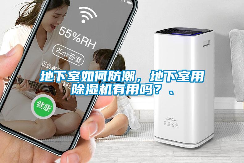 地下室如何防潮，地下室用除濕機有用嗎？、