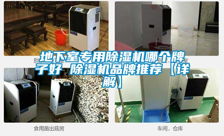 地下室專用除濕機哪個牌子好 除濕機品牌推薦【詳解】