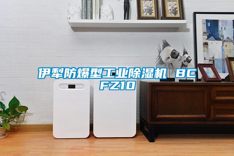 伊犁防爆型工業除濕機 BCFZ10