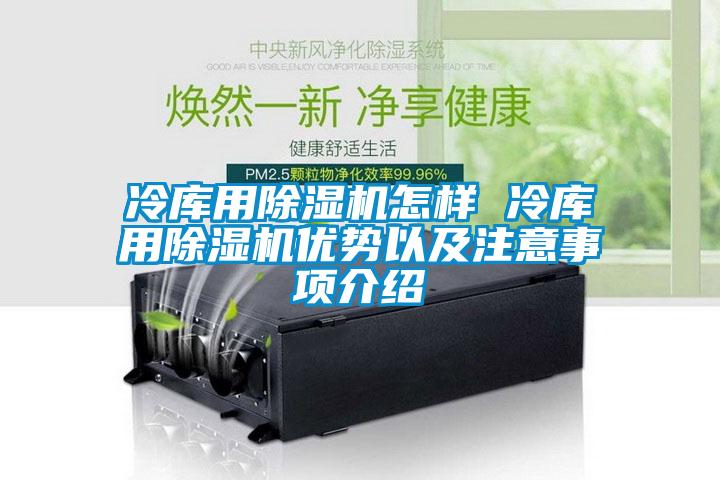 冷庫用除濕機怎樣 冷庫用除濕機優勢以及注意事項介紹