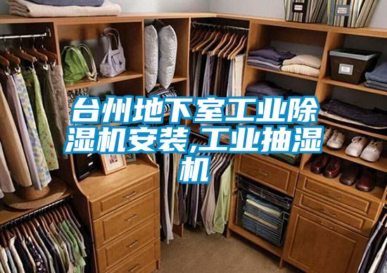 臺州地下室工業除濕機安裝,工業抽濕機