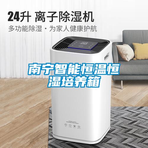 南寧智能恒溫恒濕培養箱