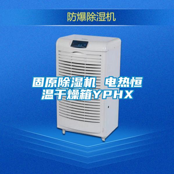 固原除濕機 電熱恒溫干燥箱YPHX