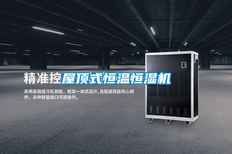 屋頂式恒溫恒濕機