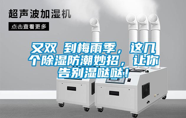 又雙叒到梅雨季，這幾個除濕防潮妙招，讓你告別濕噠噠！