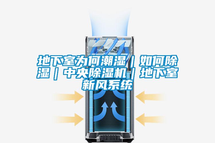 地下室為何潮濕｜如何除濕｜中央除濕機｜地下室新風系統