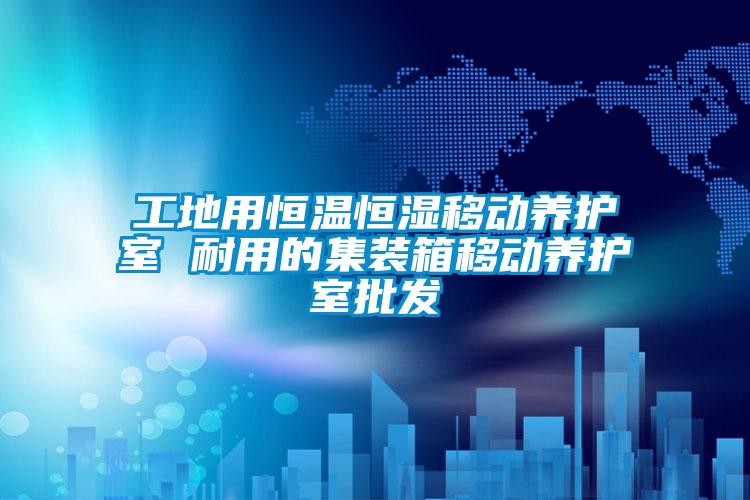 工地用恒溫恒濕移動養護室 耐用的集裝箱移動養護室批發