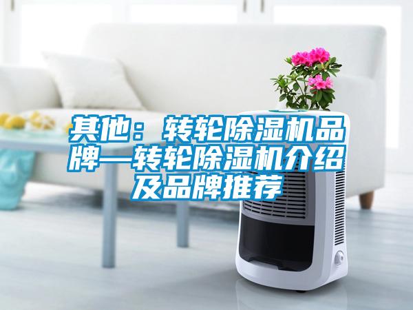 其他：轉輪除濕機品牌—轉輪除濕機介紹及品牌推薦