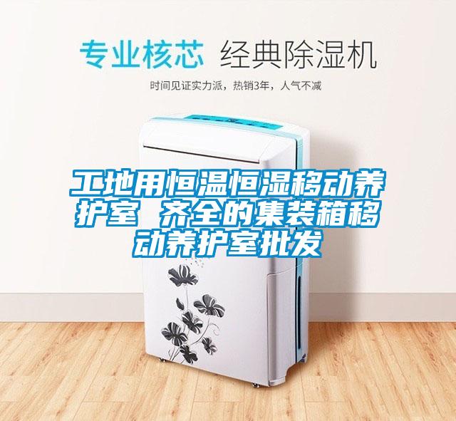 工地用恒溫恒濕移動(dòng)養(yǎng)護(hù)室 齊全的集裝箱移動(dòng)養(yǎng)護(hù)室批發(fā)