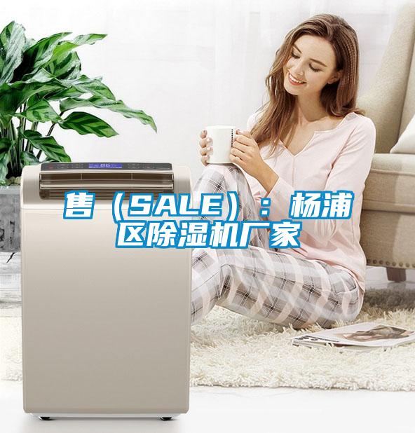 售（SALE）：楊浦區除濕機廠家