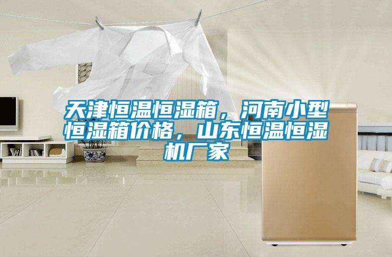 天津恒溫恒濕箱，河南小型恒濕箱價格，山東恒溫恒濕機廠家
