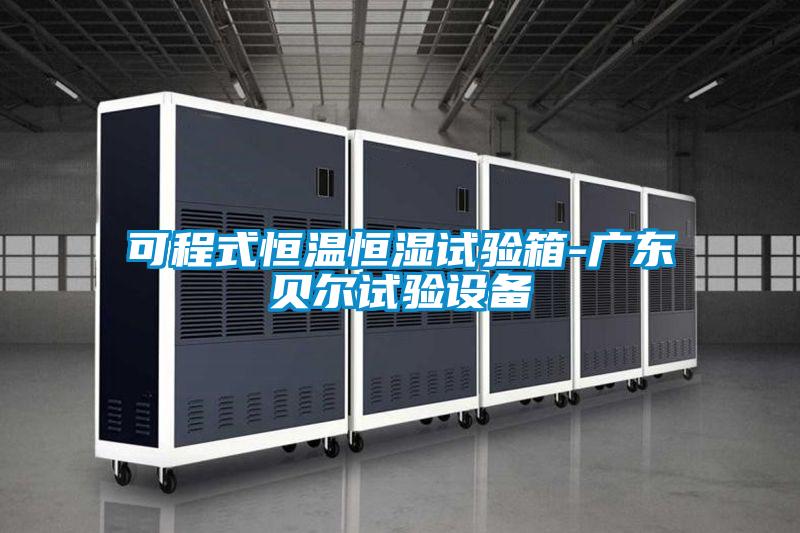 可程式恒溫恒濕試驗箱-廣東貝爾試驗設備