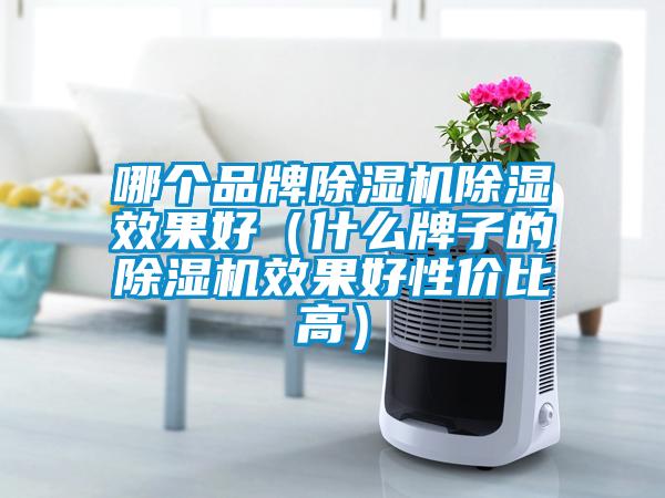 哪個品牌除濕機(jī)除濕效果好（什么牌子的除濕機(jī)效果好性價比高）