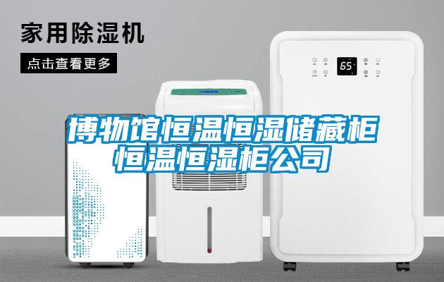 博物館恒溫恒濕儲藏柜恒溫恒濕柜公司