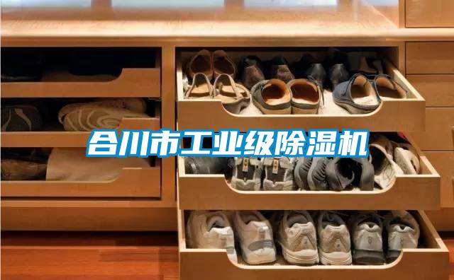 合川市工業級除濕機