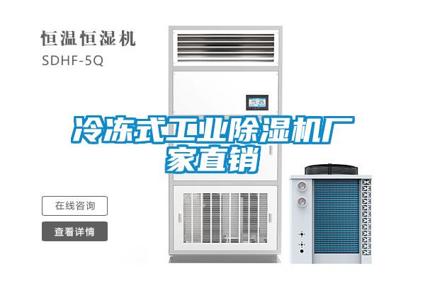 冷凍式工業(yè)除濕機(jī)廠家直銷(xiāo)