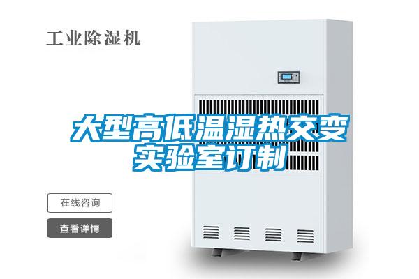 大型高低溫濕熱交變實驗室訂制