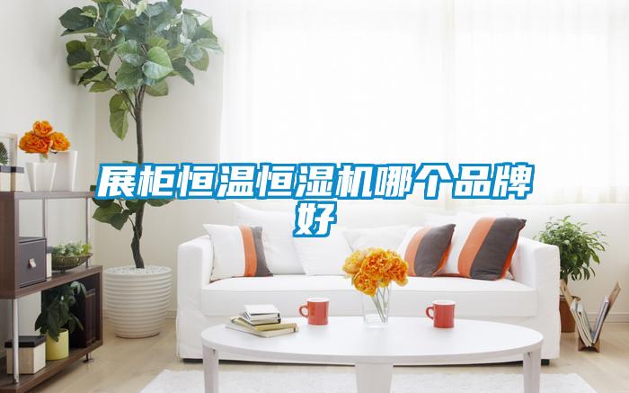 展柜恒溫恒濕機哪個品牌好