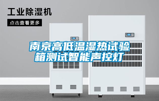 南京高低溫濕熱試驗箱測試智能聲控燈