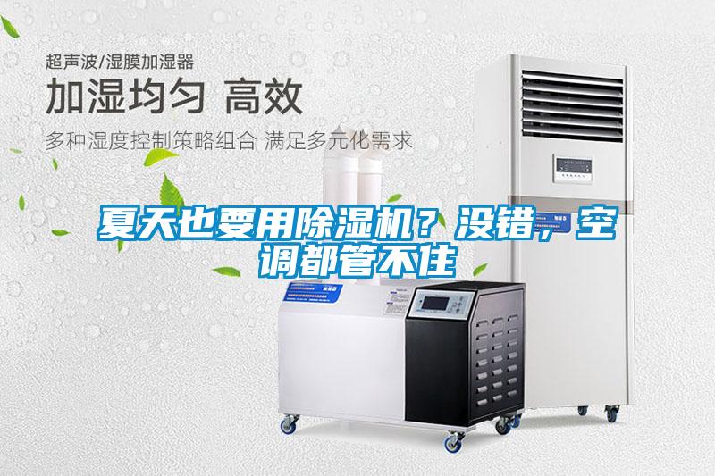 夏天也要用除濕機？沒錯，空調都管不住