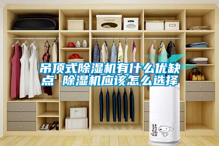 吊頂式除濕機有什么優缺點 除濕機應該怎么選擇