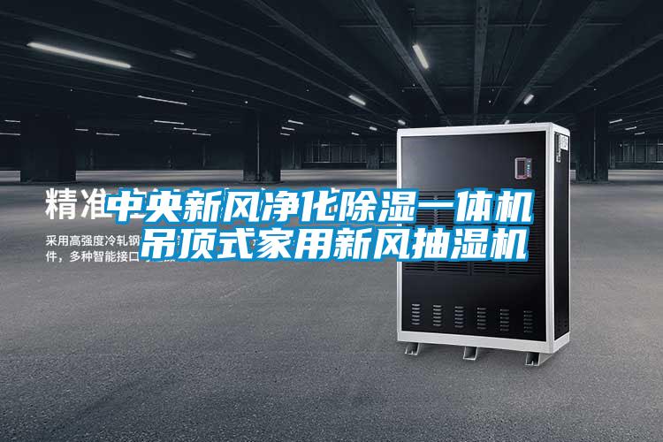 中央新風凈化除濕一體機 吊頂式家用新風抽濕機