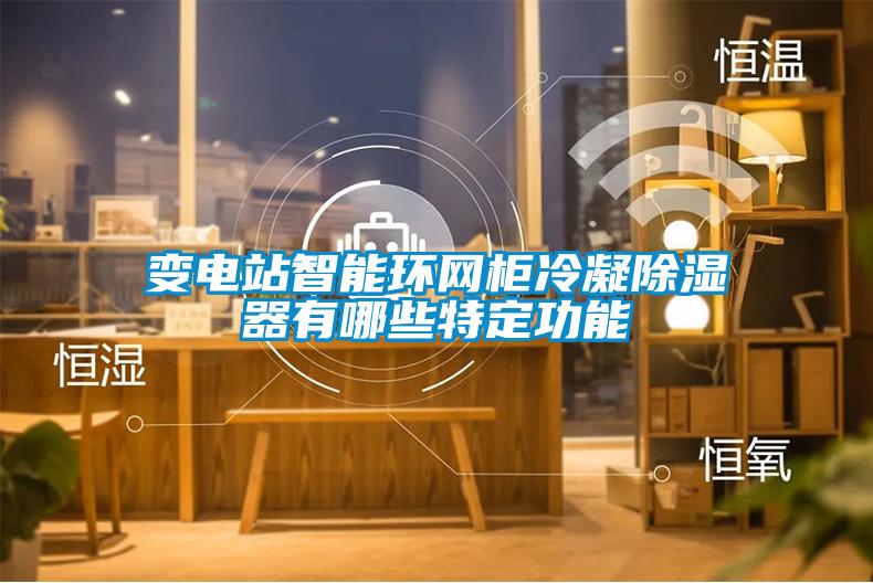 變電站智能環網柜冷凝除濕器有哪些特定功能