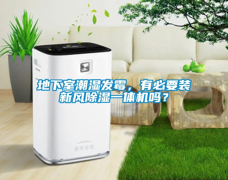地下室潮濕發霉，有必要裝新風除濕一體機嗎？