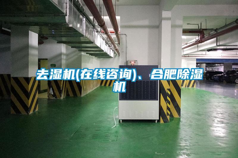 去濕機(在線咨詢)、合肥除濕機