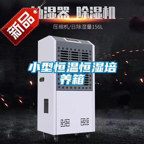 小型恒溫恒濕培養箱