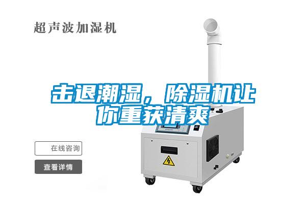 擊退潮濕，除濕機讓你重獲清爽