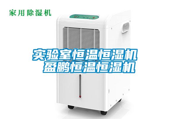 實驗室恒溫恒濕機 盈鵬恒溫恒濕機