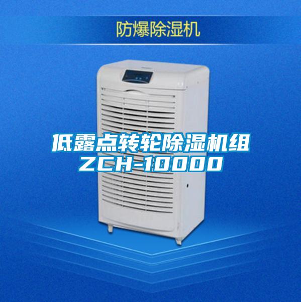 低露點(diǎn)轉(zhuǎn)輪除濕機(jī)組ZCH-10000