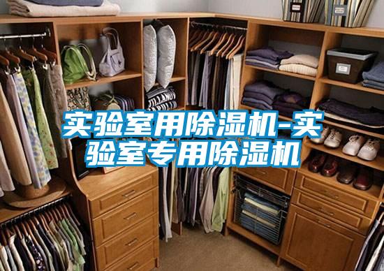 實(shí)驗(yàn)室用除濕機(jī)-實(shí)驗(yàn)室專(zhuān)用除濕機(jī)