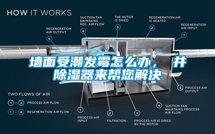 墻面受潮發(fā)霉怎么辦，東井除濕器來幫您解決