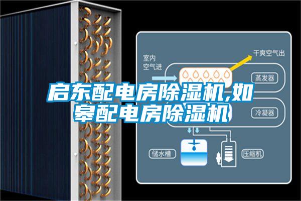 啟東配電房除濕機,如皋配電房除濕機